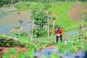 BIB: 
                            <button type="button" onclick="openModal(13380661)" class="btn btn-primary btn-sm float-right btn-popup" data-toggle="modal" data-target=".modal-high-quality">
                        <i class="fas fa-shopping-cart"></i> Add to Cart
                    </button>
                                            <button type="button" onclick="isThisMe(13380661, true)" class="btn btn-success btn-sm float-right btn-popup btn-isme hidden" data-toggle="tooltip" data-placement="bottom" title="นี่คือรูปของคุณใช่ไหม คลิกที่นี่เพื่อเอาเข้าอัลบั้ม">
                        <i class="fas fa-plus"></i> Add to album
                    </button>
                    <button type="button" onclick="isThisMe(13380661, false)" class="btn btn-warning btn-sm float-right btn-popup btn-isnotme hidden">
                        <i class="fas fa-ban"></i> Remove from album
                    </button>